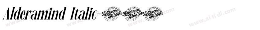 Alderamind Italic字体转换 Alderamind Italic字体转换
